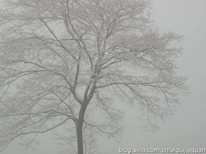 白雪漫天飞扬，