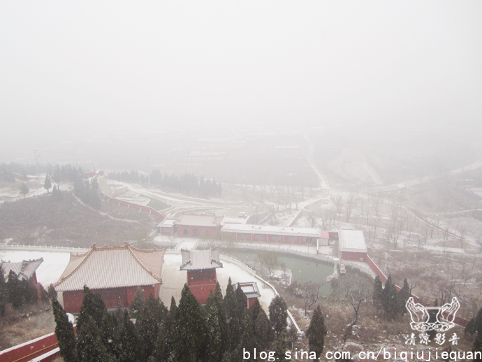 真正看见“雪上加霜”。因雾气飘浮，树枝上、草上厚厚一层霜。昨天雪没化完，又加霜了。放生池也冰上了，冷啊！