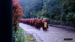 2019年清明平兴寺僧众扫塔